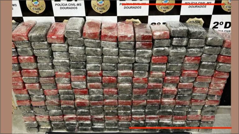 Polícia apreende cocaína avaliados em 15 milhões escondidos em carga de produtos de limpeza