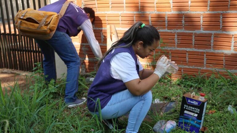 Com chuvas constantes, CCZ reforça sobre cuidados para evitar a dengue