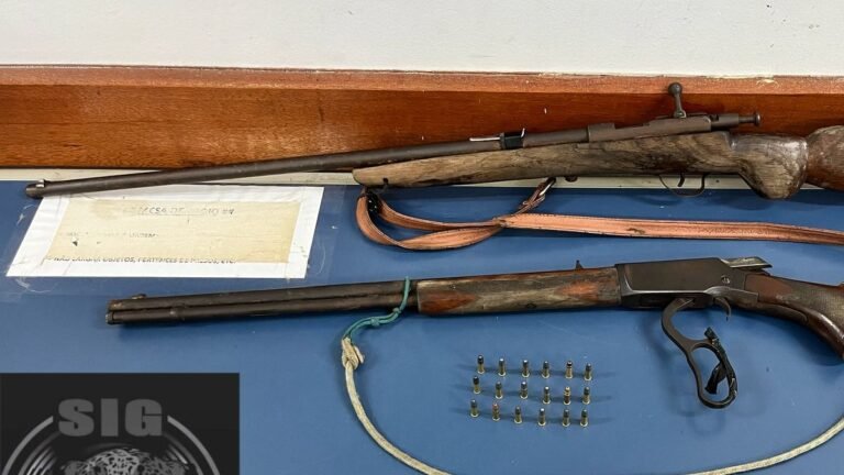 Polícia Civil apreende armas e munições durante cumprimento de mandado de busca e apreensão