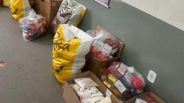 Prefeitura entrega alimentos arrecadados em ação de  solidariedade