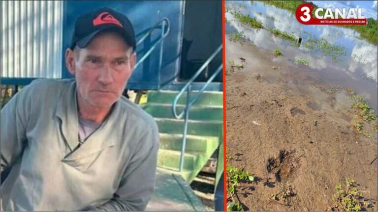 Força-tarefa intensifica buscas por onça-pintada e captura animal