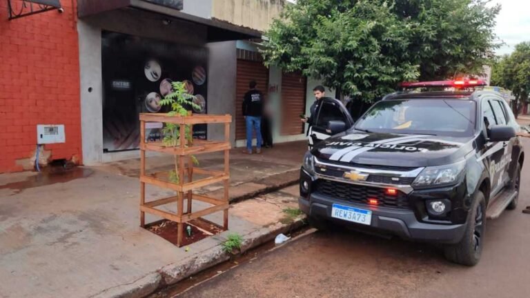 Polícia Civil deflagra “Operação Ficta Persona” em combate a estelionatos