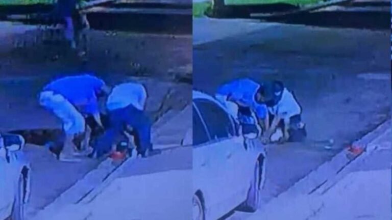 Dois indivíduos flagrados estrangulando pitbull até a morte em via pública são presos