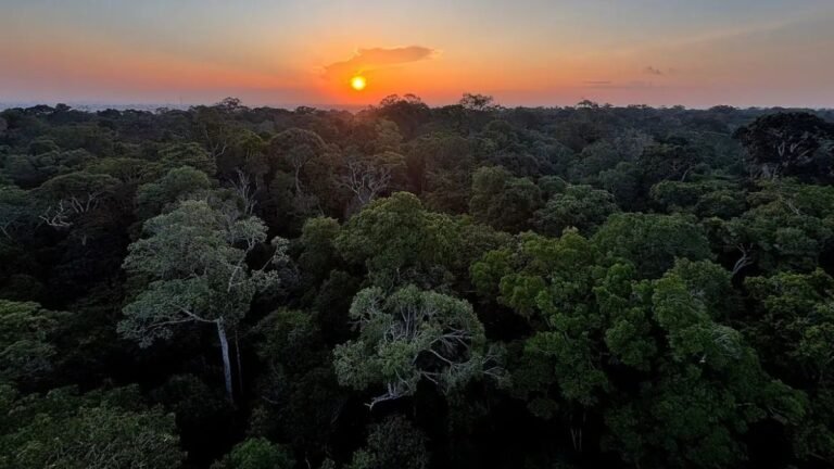 Começa hoje em Brasília a 5ª Conferência Nacional do Meio Ambiente