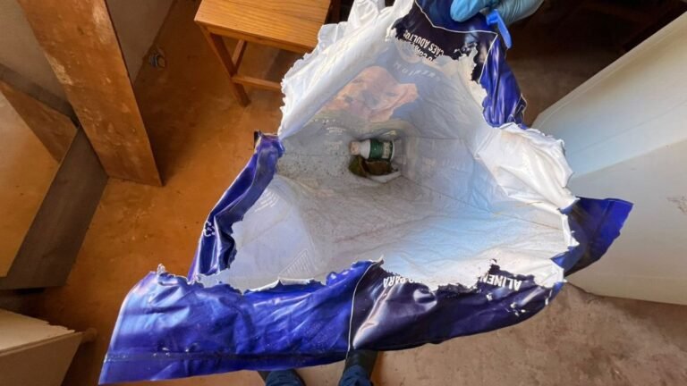 Polícia Civil prende homem em flagrante por morte de animal