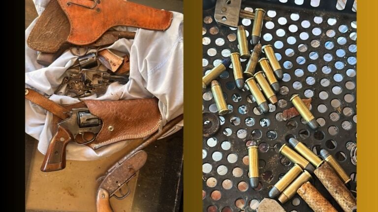 Jardim Água Boa – Polícia Civil prende indivíduo por posse irregular de arma de fogo e munições em Dourados