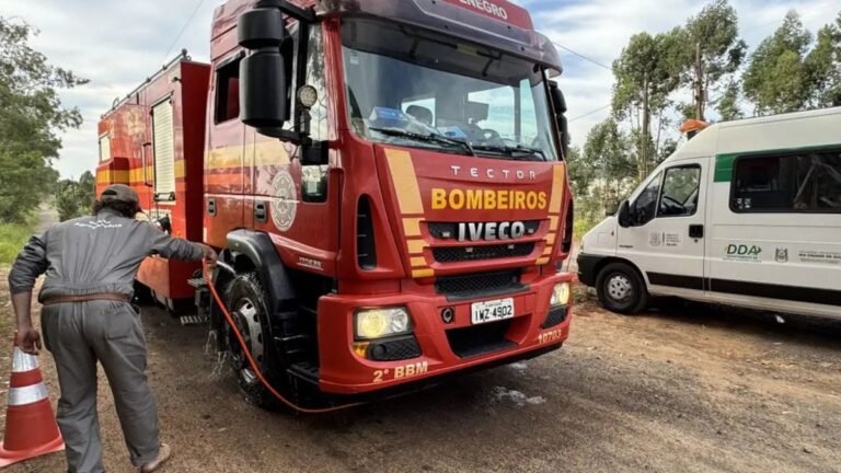 RS monta barreiras sanitárias em Montenegro para conter gripe aviária