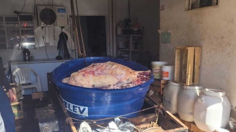 Polícia Civil e IAGRO apreendem quase duas toneladas de carne imprópria para consumo 
