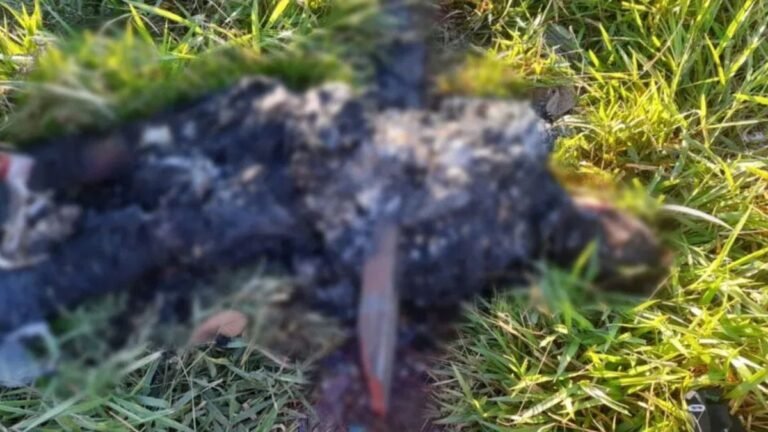 Corpo carbonizado – Polícia Civil prende em flagrante suspeito de homicídio