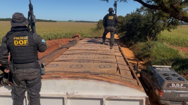 DOF apreende mais de 42 mil pacotes de cigarros contrabandeados em carreta