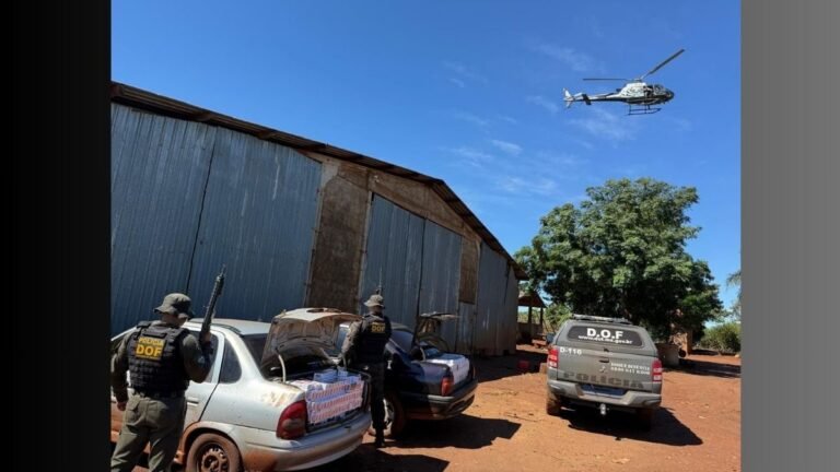 DOF apreende dois carros carregados com materiais ilegais avaliados em R$ 300 mil