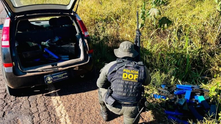 DOF apreende mais de 200 quilos de droga em meio a mata, na ação, ninguém foi preso