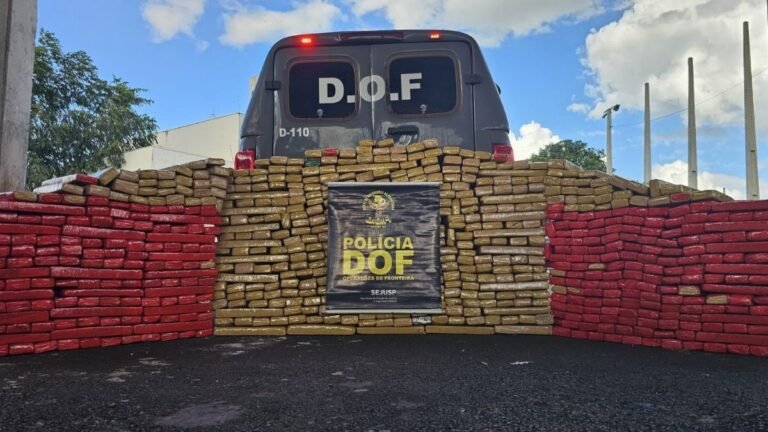 DOF apreende mais de 600 quilos de drogas em Maracaju, Na ação, ninguém foi preso