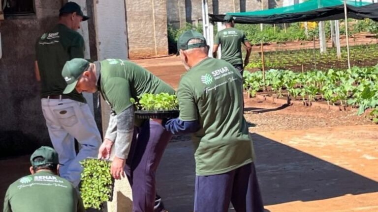 Capacitação em horticultura no presídio de Caarapó impulsiona geração de alimentos para instituições assistenciais