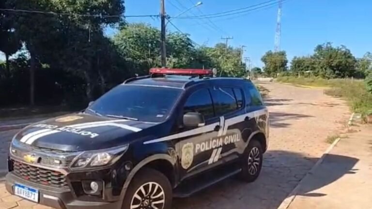 Polícia Civil realiza apreensão de arma de fogo, em contexo de violência doméstica, em Corumbá