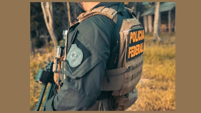 PF combate grilagem de terras da União e fraudes ambientais no Pantanal