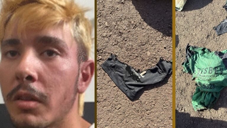 Polícia Civil prende autor de duplo feminicídio que vitimou mãe e filha de 10 meses