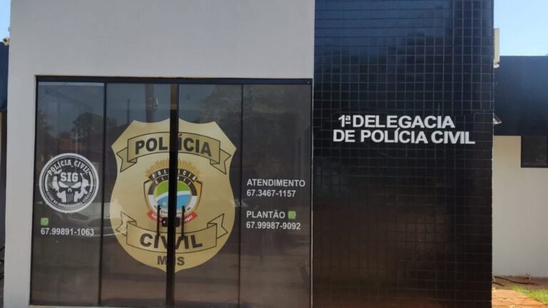 Polícia Civil prende em flagrante homem por violência domésticae apos agedir mulher e filho recém-nascido
