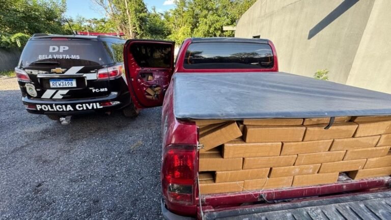 Polícia Civil apreende 1,7 tonelada de maconha e prende suspeito em flagrante