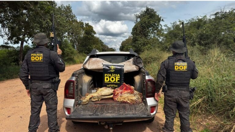 Vídeo – DOF prende cinco pessoas pelo crime de abigeato em Corumbá