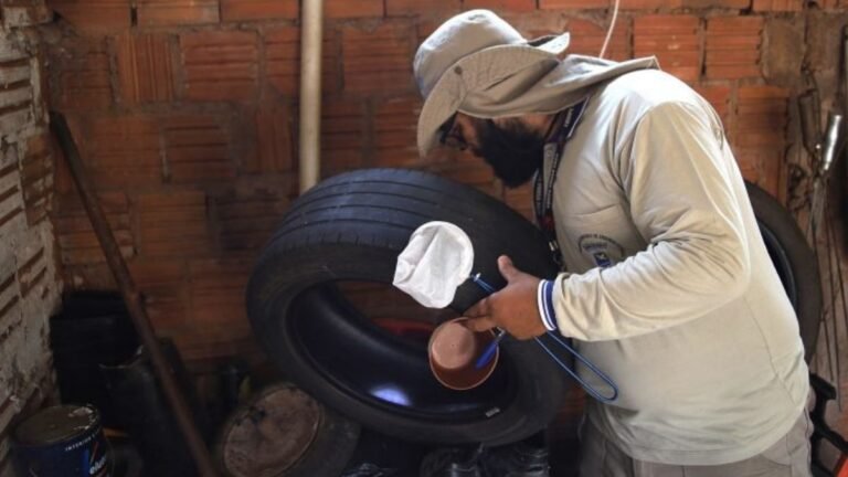 SES reforça qualificação de agentes com curso nacional sobre arboviroses