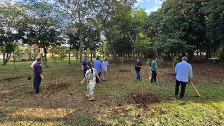 Feira Central recebe 84 novas árvores em ação de revitalização
