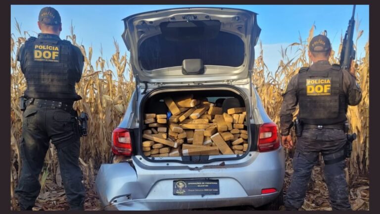 DOF apreende mais de 420 quilos de drogas em Aral Moreira que seguiam para Bataguassu