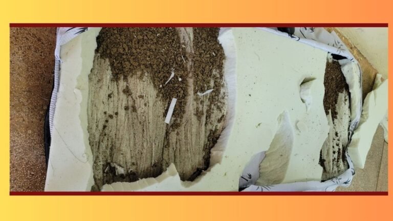 Advogada é flagrada tentando entregar colchão recheado de maconha em Penitenciária