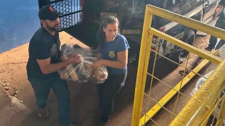 Polícia Civil incinera mais de 1,5 tonelada de drogas de Nova Andradina