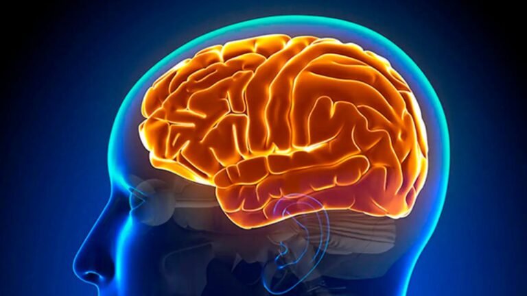 Entenda a hidrocefalia normobárica, causa da cirurgia de Chico Buarque