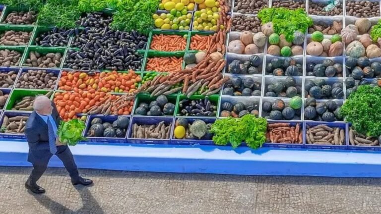 Governo Federal investe R$ 89 bilhões na agricultura familiar