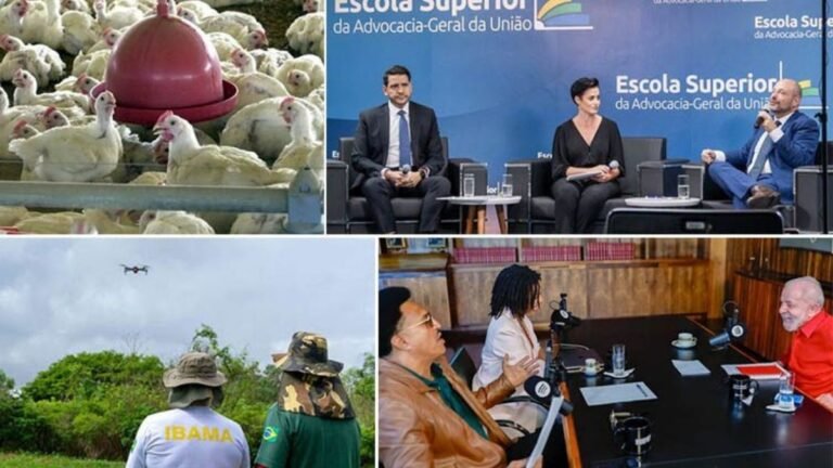 Semana de preços em baixa, Fundo Amazônia em alta e respostas aos aposentados