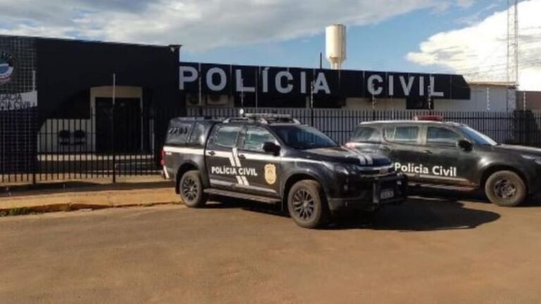 Polícia Civil captura em flagrante suspeito de vários furtos em Aparecida do Taboado