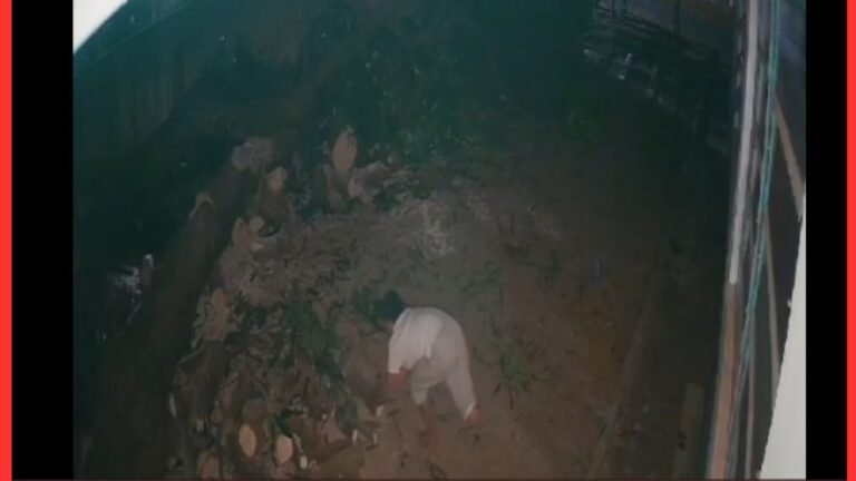 Homem com perna amputada é indiciado por furtar escola após pular muro