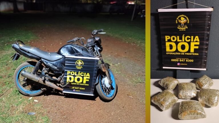 Droga destinada a aldeia indígena é interceptada pelo DOF em Aral Moreira