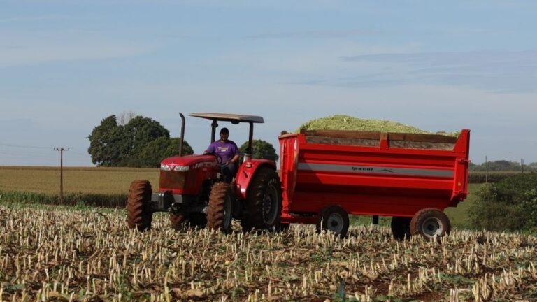 Prefeitura seleciona agricultores familiares para distribuição gratuita de fertilizante orgânico