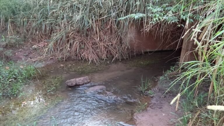 MPMS apura despejo de esgoto em área de proteção do córrego Laranja Doce, em Dourados