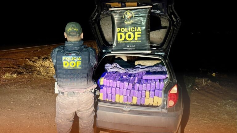 DOF apreende veículo com mais de 730 quilos de drogas avaliadas em cerca de R$ 1,7 milhão
