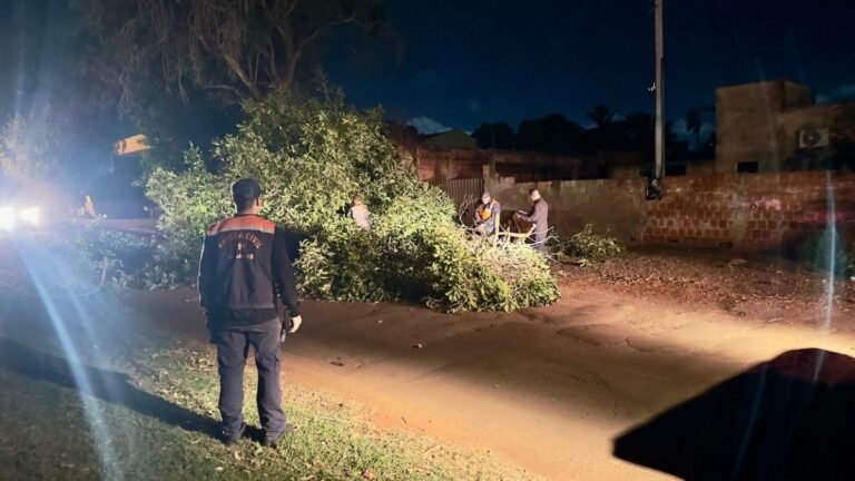 Prefeitura dá rápida resposta em atendimentos após vendaval em Dourados