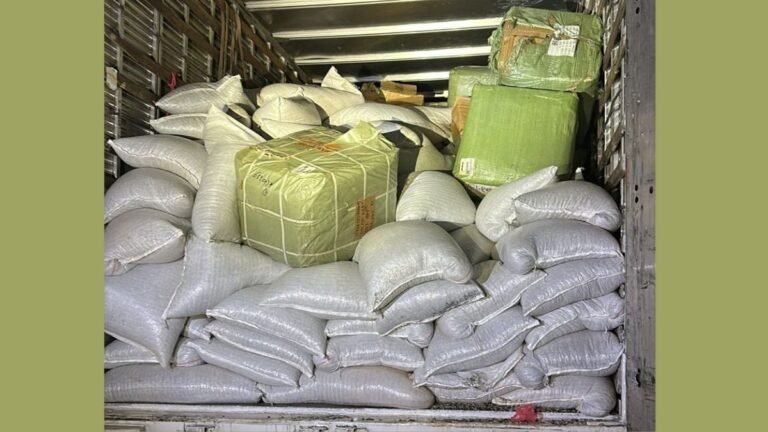 Carga de contrabando avaliada em R$ 610 mil é apreendida pela Polícia Civil