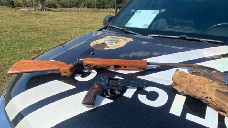 Policiais civis apreendem armas em propriedade rural durante cumprimento de mandado