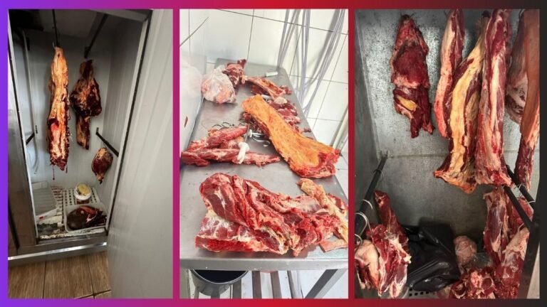 Operação da Polícia Civil autua três proprietários por comercializar carnes impróprias para consumo