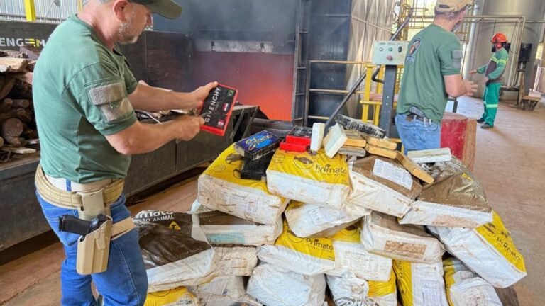 Polícia Civil incinera 6,9 toneladas de drogas em Ponta Porã