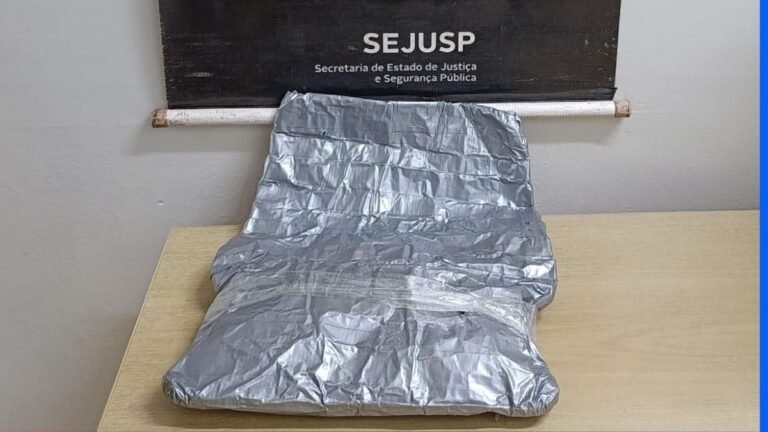 DOF intercepta carregamento de cocaína com destino a Campo Grande