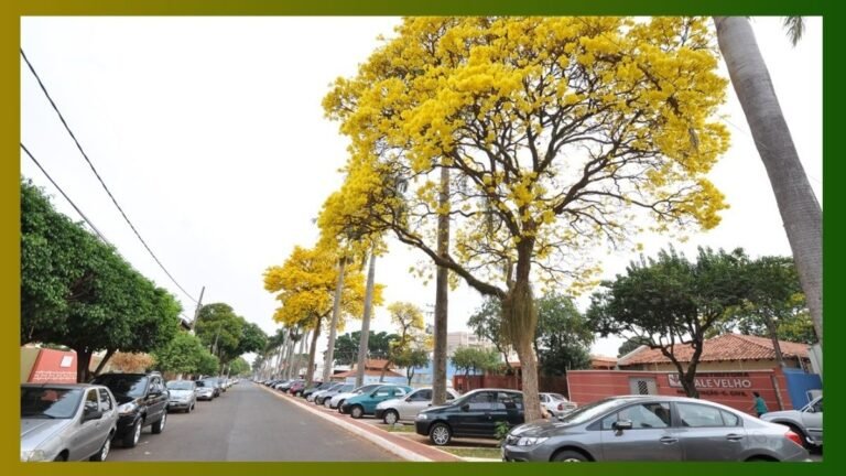 Defesa Civil alerta para calor elevado, chuvas irregulares e risco de tempestades na primavera