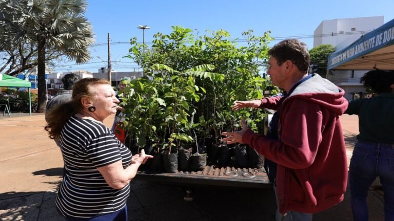 Prefeitura celebra Semana da Árvore com distribuição de mil mudas nativas e frutíferas