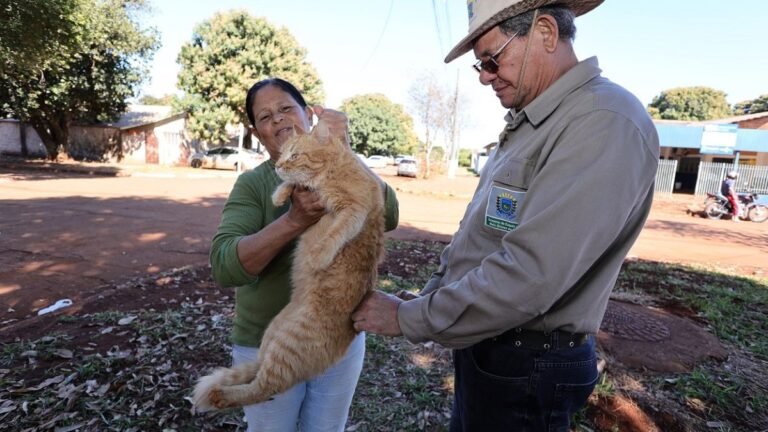 Prefeitura sedia drive-thru para vacinação antirrábica; bairros seguem vacinando