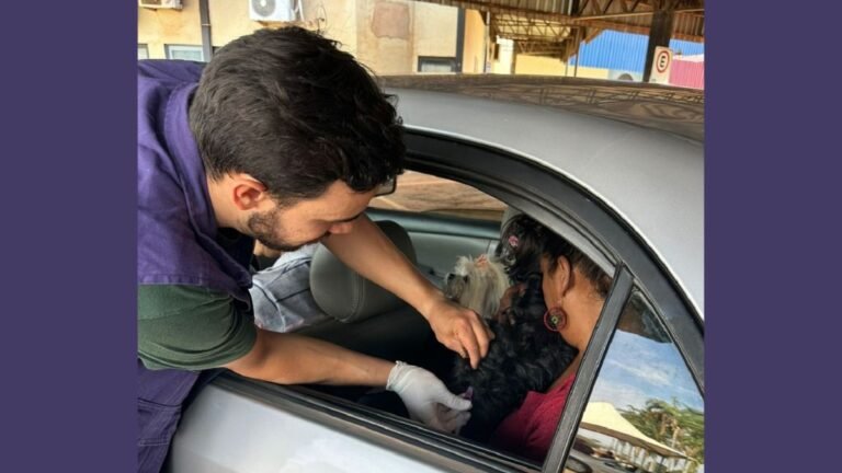 Drive-thru de vacinação antirrábica na Prefeitura imuniza mais de 1,7 mil animais