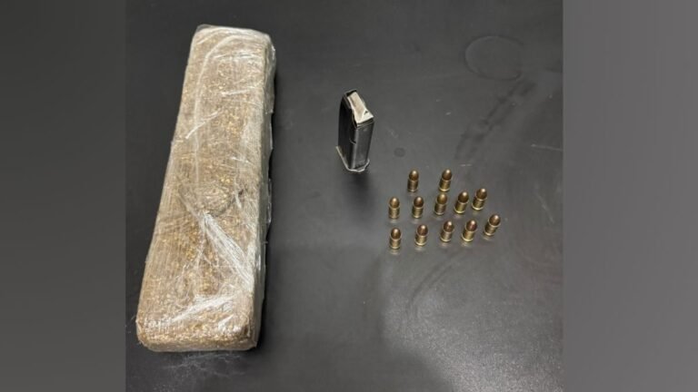 Operação conjunta da Polícia Civil e Militar apreende drogas e munições