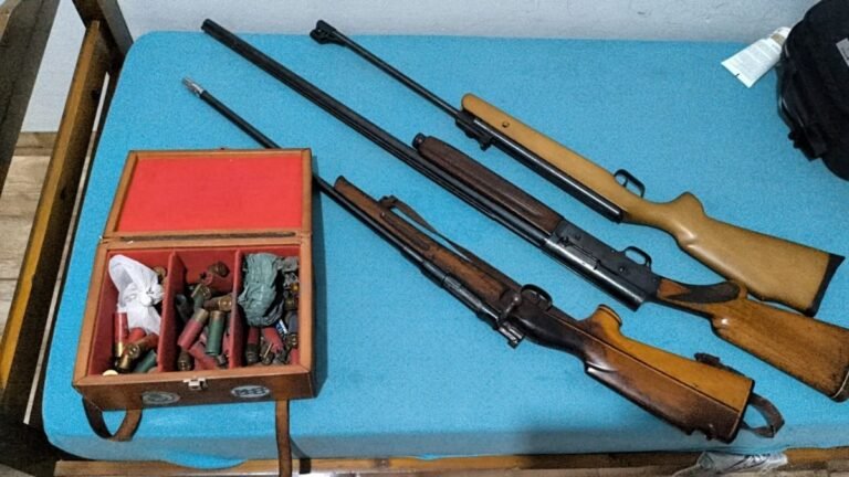 Policiais civis apreendem armas e munições em propriedade rural durante investigação sobre violência doméstica